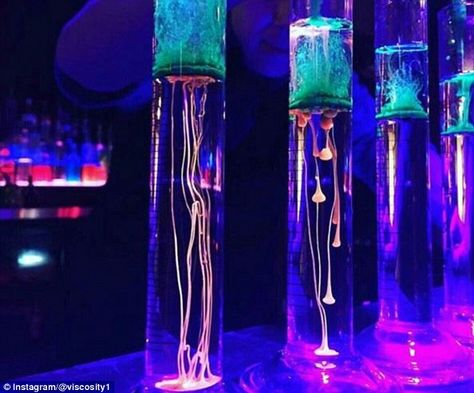 These are the weird and wonderful creations cooked up in Queensland by 'molecular mixologist' Kinsey Johnson Stanthorpe Queensland, Molecular Cocktails, Molecular Mixology, Brunch Bar, Halloween Science, Mixed Drinks Alcohol, Long Island Iced Tea, Science Themes, Cocktail Recipes Easy