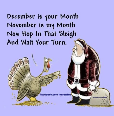 November 1 Christmas Humor, Funny Thanksgiving Pictures, Thanksgiving Humor, Thanksgiving Jokes, Christmas Memes Funny, Fall Humor, Thanksgiving Pictures, Christmas Memes, Christmas Decorations For Kids