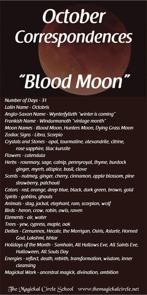 October correspondence Blood Moon October Correspondences, Month Correspondence, Monthly Correspondences, Samhain Correspondences, Blood Moon Rituals, Witchy Calendar, Moon Zodiac, Lunar Magic, Moon Names