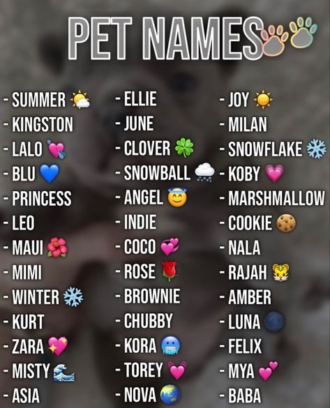 Top Dog Names, Nicknames For Friends, Cute Animal Names, Cute Pet Names, Cute Puppy Names, Cute Names For Dogs, Animal Names, Puppy Names, Summer Rose