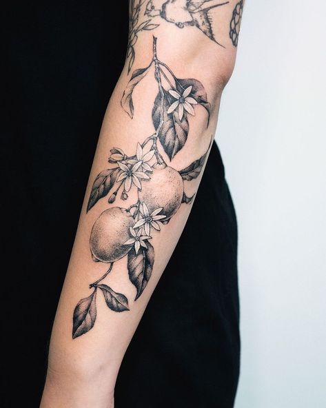 Citrus Branch Tattoo, Lemon Sleeve Tattoo, Lime Branch Tattoo, Lemon Arm Tattoo, Vintage Americana Tattoo, Lemon Tattoo Sleeve, Lemon Tree Tattoo Black And White, Lemon Tree Flower Tattoo, Fruit Plant Tattoo