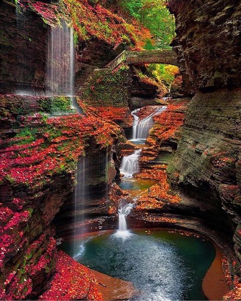 Watkins Glen New York :@backcountrygallery Tag your travel buddies by earthimage Watkins Glen State Park, Rainbow Falls, Watkins Glen, Waterfall Photography, Beautiful Waterfalls, 판타지 아트, Beautiful Places To Visit, Fall Foliage, Fall Leaves