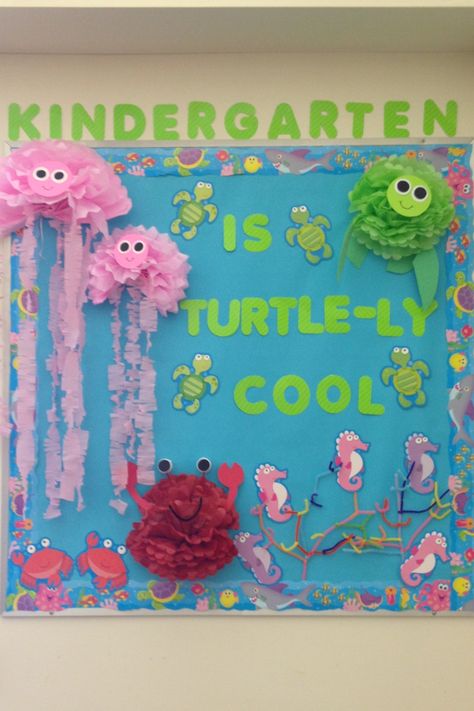 Sea life bulletin board Ocean Board Preschool, Beach Themed Bulletin Board Ideas, Sea Life Decorations Classroom, Water Theme Bulletin Board, Ocean Themed Bulletin Boards Preschool, Ocean Theme Classroom Decorations Ideas, Ocean Preschool Bulletin Board, Ocean Bulletin Board Ideas Preschool, Ocean Classroom Theme Bulletin Boards