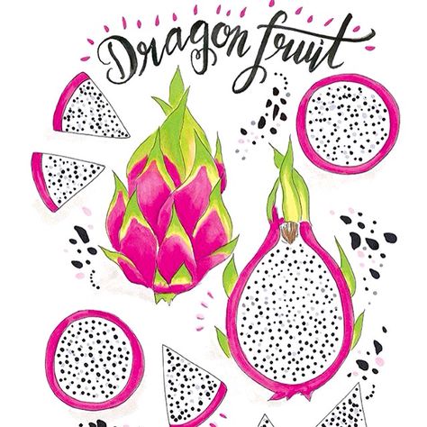 Dragon Fruit Drawing, Fruit Green Tea, Cute Baby Nursery, Metallic Mesh Top, Fruit Drawing, Buah Naga, Fruit Du Dragon, Thanh Long, Fruits Drawing