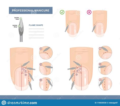 How to use a Flame Shape Milling Cutter. Working with the Area around the Nail. Tips and Tricks. Professional Manicure Tutorial.. Illustration about care, buffing, file - 170035930 Nail Tips And Tricks, Nail Filing, Nail Tech School, Manicure Tutorials, Different Types Of Nails, Nail Courses, Professional Manicure, Nail Techniques, Diy Acrylic Nails