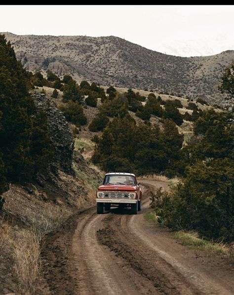 Truck Aesthetic, Southern Aesthetic, Old Ford Truck, They See Me Rollin, Old Ford Trucks, Old Truck, Old Pickup, Old Pickup Trucks, Adventure Aesthetic