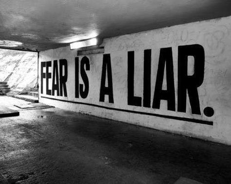 Fear Is A Liar, Motivation Board, Powerful Quotes, White Photo, A Sign, The Words, Be Yourself Quotes, Great Quotes, Cool Words