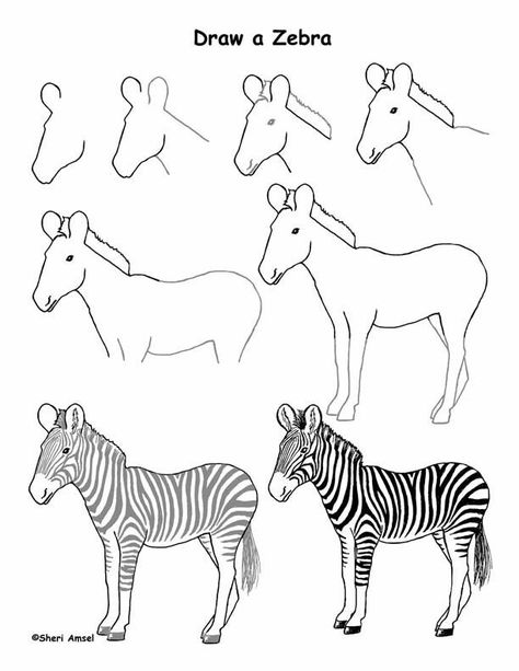 Zebra step by step drawing Trin For Trin Tegning, Zebra Drawing, African Drawings, Zebra Painting, Zebra Art, Animal Drawings Sketches, Draw Animals, Art Mignon, Easy Drawings For Kids