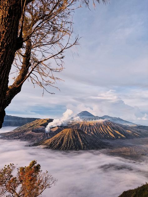 Gunung Everest, Bromo Mountain, Mount Bromo, Study Tour, Mountain Aesthetic, Mountain Pictures, Ooty, East Java, Northern Italy