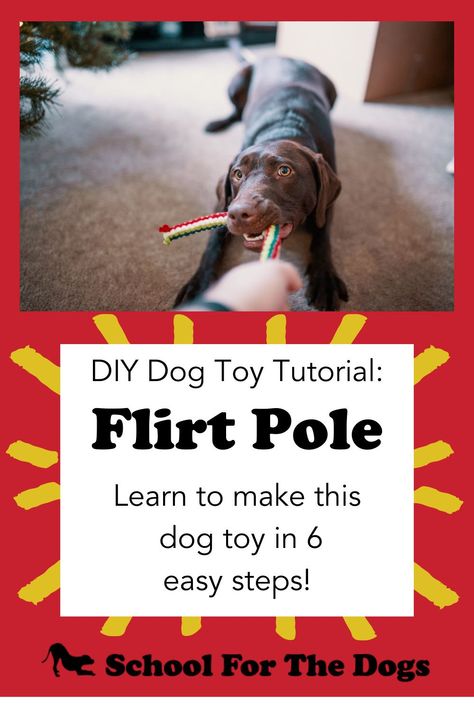 Flirt Pole For Dogs Diy, Flirt Pole For Dogs, Off Leash Dog Training, Handmade Dog Toys, Therapy Dog Training, Jumping Dog, Loose Leash Walking, Toys For Dogs, Diy Dog Toys