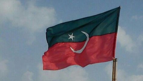 PTI flag Ppp Flag, Pti Flag, National Heroes, Eu Flag, Country Flags, Wind Sock, Flag, Outdoor Decor, Quick Saves