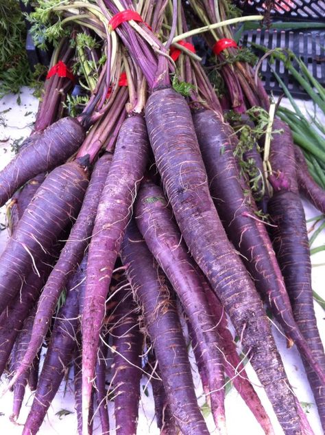 Purple carrots Rainbow Eating, Purple Carrots, Goth Garden, Purple Food, Purple Carrot, Unique Vegetables, Shades Of Violet, Purple Garden, Fruit Painting