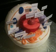 Animal Cell Project Ideas, Cell Project Ideas, Animal Cell Cake, 3d Animal Cell Project, Plant Cell Cake, Human Cell Structure, Animal Cell Model Project, Cell Cake, 3d Animal Cell