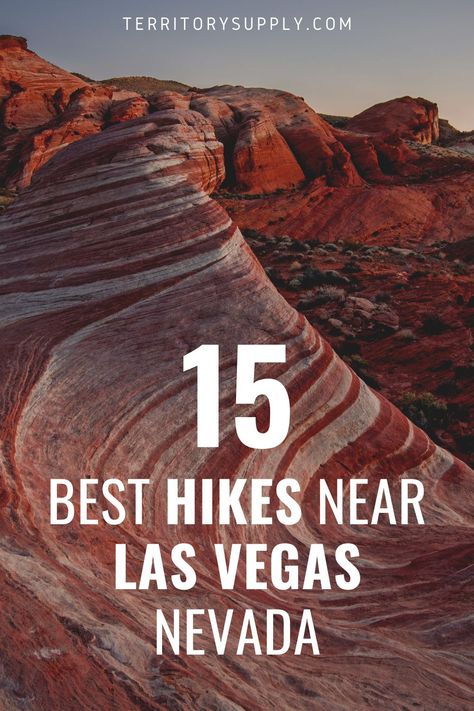 Charleston Peak Nevada, Las Vegas Hiking Trails, Hikes Near Vegas, Hikes Near Las Vegas, Hiking Near Las Vegas, Hiking Las Vegas, Las Vegas Hikes, Vegas Hiking, Birthday In Las Vegas