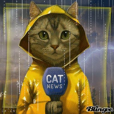 Cat News zur Wetterlage... Marketing Job, 강아지 그림, Image Chat, Cat Artwork, Cat Posters, Cats Illustration, Arte Animal, Cat Painting, Cat Illustration