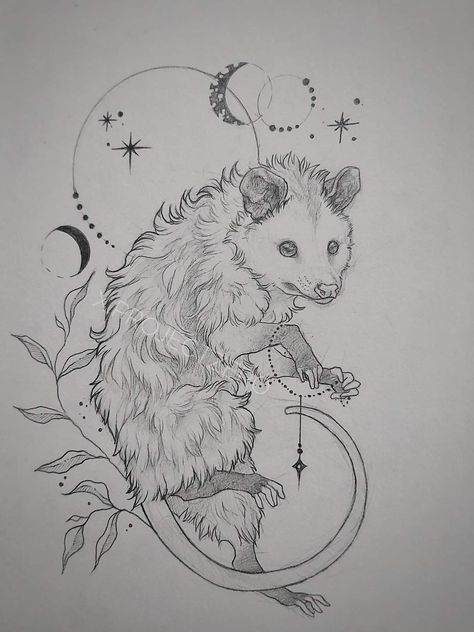 Neo Traditional Possum Tattoo, Possum Skull Tattoo, Cute Opossum Tattoo, Opposum Tattoo Design, Cornucopia Tattoo, Opossum Reference, Opossum Sketch, Porcupine Tattoo, Opossum Drawing