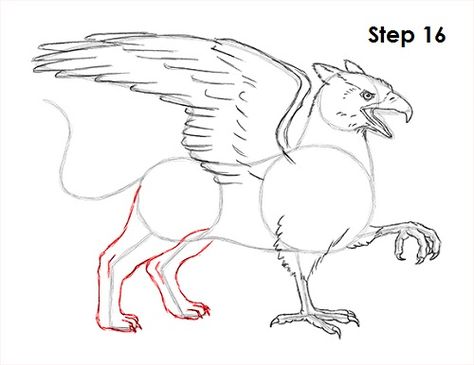 Griffin Drawing, Griffin Mythical, Harry Potter Creatures, Mythical Creatures Drawings, Animal Tutorial, Graphic Novel Illustration, Animal Outline, Mythological Animals, Drawing Instructions