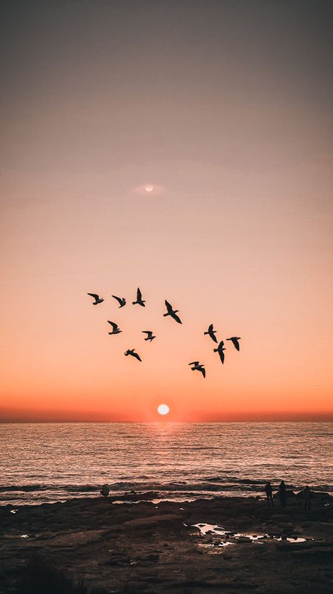 Aesthetic Birds Flying, Bird Sunset, Beauty Iphone Wallpaper, Space Phone Wallpaper, Green Screen Background Images, Birds In The Sky, Easy Love Drawings, Landscape Photography Nature, Pretty Landscapes