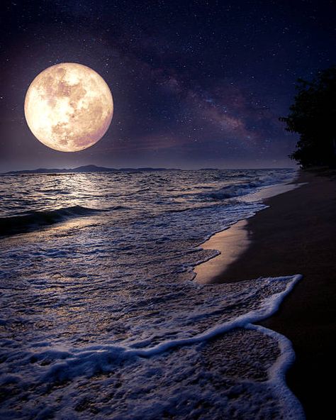 Best Fantasy Moonlight Beach Stock Photos, Pictures & Royalty-Free Images - iStock Cer Nocturn, Moon Beach, Moonlight Photography, Moon Images, Shoot The Moon, Moon Photos, Moon Pictures, Trending Pins, Moon Photography