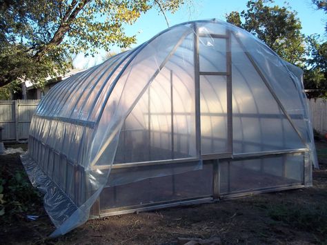 Mushrooms and Micro-greens Greenhouse - Gourmet and Medicinal ... Mushroom Greenhouse, Mushroom Fruiting Chamber, Microgreen Growing, Green Barn, Earth Bag, Micro Greens, Mushroom Cultivation, Indoor Greenhouse, Red Beard