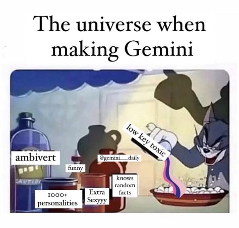 Gemini And Sagittarius Memes, Gemini X Gemini, Gemini Aesthetic Art, Gemini Character, Gemini Core, Gemini Things, Gemini Stuff, Gemini Women, June Gemini