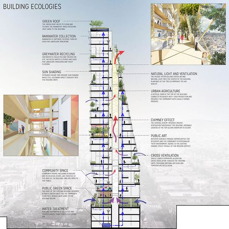 Mass timber design for multifamily housing | Building Design + Construction Miami Tower, Green Building Architecture, Mass Timber, Vertical City, Architecture Design Process, Multifamily Housing, Timber Architecture, Timber Buildings, Mix Use Building