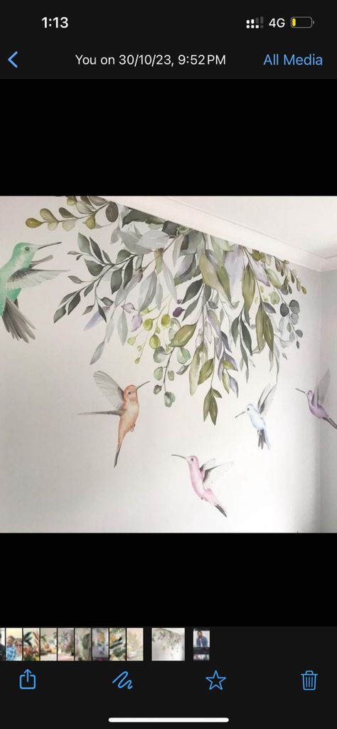 Watercolour Wall, Watercolor Hummingbird, Room Wall Painting, Garden Watercolor, Native Garden, Australian Native, Watercolor Walls, Wall Graphics, Mural Art