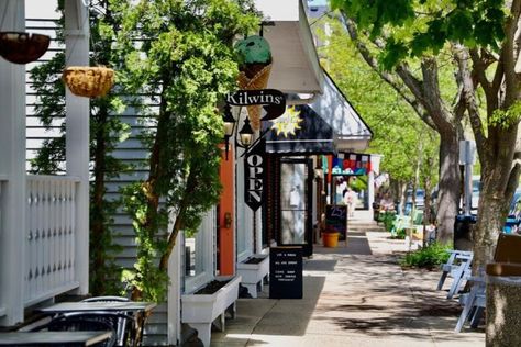 Explore Saugatuck Michigan: A Hidden Gem Near the Lake Michigan Shore Michigan Summer Vacation, Indoor Things To Do, Michigan Travel Destinations, Saugatuck Michigan, Michigan Summer, Beach Read, Waterfront Restaurant, Weekend Escape, Michigan Travel