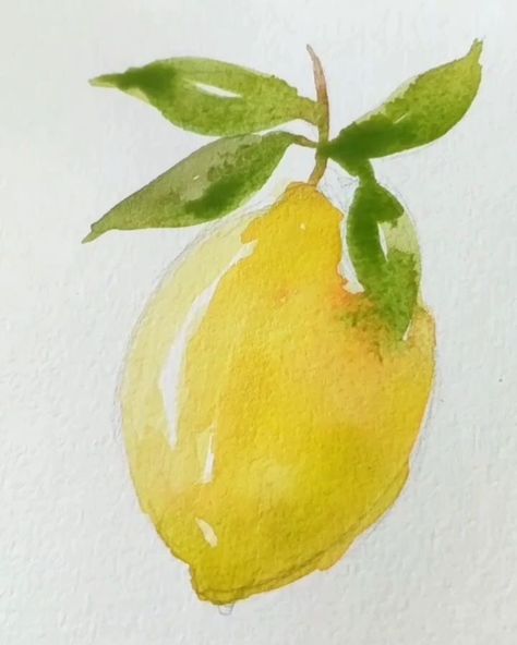 Free Art Classes, Lemon Watercolor, Watercolor Art Landscape, Watercolor Food, Watercolor Paintings For Beginners, Watercolor Fruit, Watercolour Inspiration, Abstract Watercolor Art, Watercolor Paintings Easy