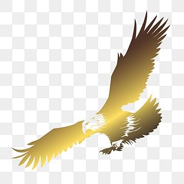 eagle,flying,golden,golden eagle,fly high,birds,animal,fly,flying clipart,eagle clipart,eagles vector,wing,illustration,clipart,hunter,wildlife,logo,emblem,freedom,predator,feather,american,anger,bald,characters,clip art,cut out,horizontal,mascot,no people,outline,patriotism,power,silhouette,speed,tattoo,team,usa,claw,art,cartoon,computer graphic,design element,isolated,white,wild,single,clean,gold,print,crafts,metal Bald Characters, Golden Eagle Flying, Speed Tattoo, People Outline, Wildlife Logo, Eagle Background, Eagle Photos, Wing Illustration, Eagle Sketch