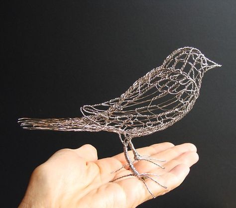 Found Art, Sculptures Sur Fil, Chicken Wire Sculpture, Chicken Wire Art, Chicken Wire Crafts, Wire Bird, Oriole Bird, Wire Art Sculpture, Willow Weaving