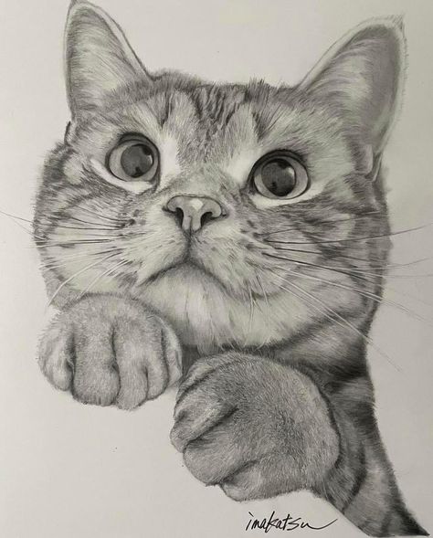 Cat Drawing Detailed, British Shorthair Cats Drawing, Cat Sketch Realistic, Cat Drawing Realistic, Adult Drawing, Cat Portrait Painting, Cats Art Drawing, Fall Drawings, Realistic Sketch