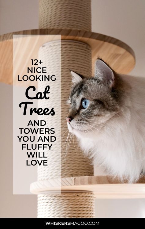 From chic minimalistic cat tree options in modern wooden designs to natural-looking cat trees and towers that have been handcrafted to perfection, check out 12+ attractive, aesthetically pleasing cat trees and towers for your feline family member, right here! Aesthetically Pleasing Cat Tower, Minimalistic Cat Tree, Cat Tree Minimalist, Minimalist Cat Tower, Modern Cat Tree Towers, Cat Trees And Condos, Aesthetic Cat Scratcher, Chic Cat Tree, Mid Century Modern Cat Tree