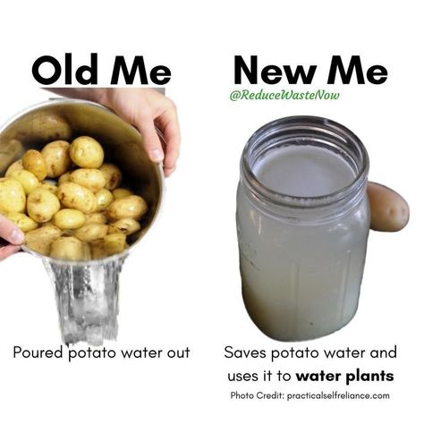 Old Me New Me, Potato Water, Prevent Food Waste, Environmentally Friendly Living, Reduce Food Waste, Eco Friendly Living, Reduce Waste, Water Plants, Large Bowl