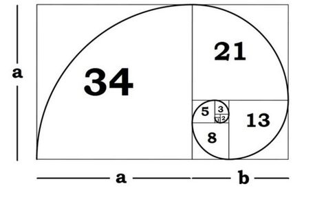 Fibonacci spiral | The Golden Ratio | Know Your Meme Phi Golden Ratio, Fibonacci Golden Ratio, Golden Section, The Golden Mean, Divine Proportion, Golden Spiral, Fibonacci Sequence, Fibonacci Spiral, Graphisches Design