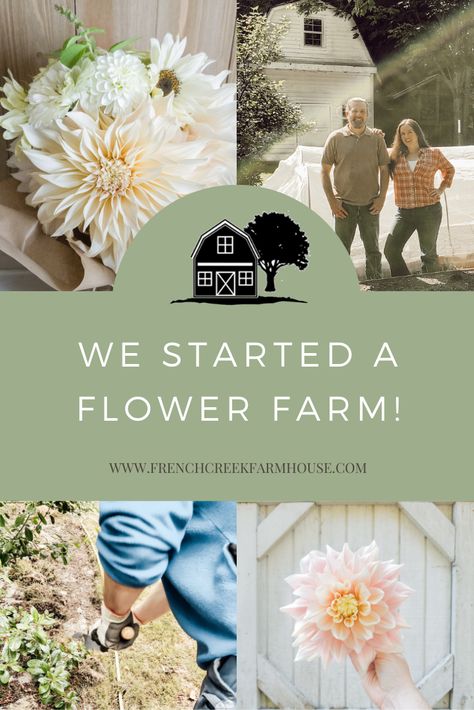 How To Become A Flower Farmer, Flower Farm For Beginners, How To Start A You Pick Flower Farm, Start A Flower Farm, Small Flower Farm Layout, Floret Flower Farm, Flower Farm Photoshoot Ideas, U Pick Flower Farm Ideas, Flower Farming For Beginners