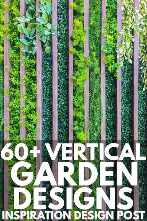 A trellis with an improvised vertical garden perfect for combining a homes' architecture and landscape. Easy Vertical Garden, Best Plants For Vertical Garden, Small Space Vertical Garden, Vertical Farming Design, Vertical Wall Garden, Vertical Garden Construction Details, Tall Wall Decor, Vertical Trellis, Patio Gates