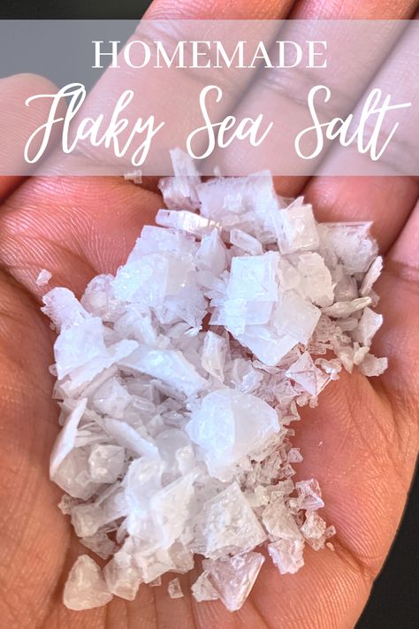 Flaky Salt Recipes, How To Make Sea Salt, Finishing Salt Recipes, Diy Extracts, Lacto Fermentation, Dip Mixes, Salt Making, Sea Salt Recipes, Flakey Salt