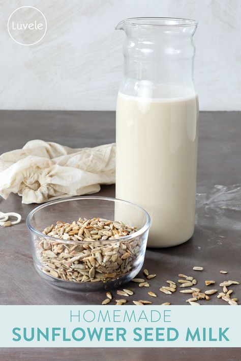 Homemade sunflower seed milk - Luvele AU Sunflower Seed Cheese, Homemade Soy Milk, Coconut Milk Smoothie, Milk Plant, Milk Benefits, Hemp Milk, Food Resources, Vegan Milk, Vegan Yogurt