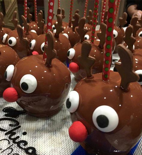 Chocolate Covered Apples Christmas, Christmas Apples, Gourmet Candy Apples, Gourmet Caramel Apples, Candy Apple Recipe, Caramel Apples Homemade, Caramel Apples Recipe, Chocolate Covered Apples, Gourmet Apples