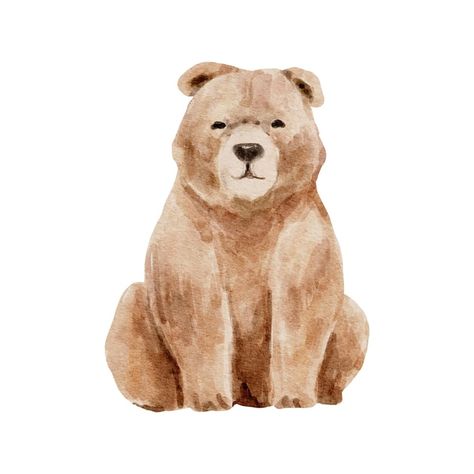 Watercolor Wildlife, Bear Sketch, Brown Watercolor, Bear Watercolor, Animal Watercolor, Woodland Bear, Bear Drawing, Bear Animal, Baby Room Art