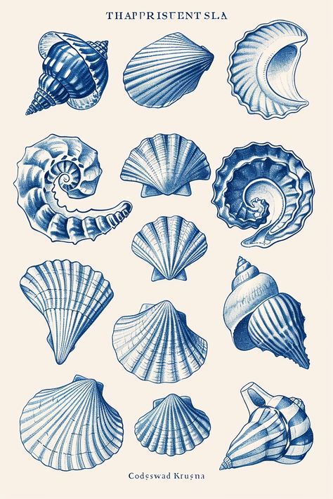 Art showcase directed by ThetaCursed, License: CC BY-NC 4.0 Beach Wall Prints, Decoration Theme Marin, Types Of Seashells, Shell Illustration, Shell Graphic, Tupac Art, Blue Seashell, Wave Drawing, Sea Creatures Art