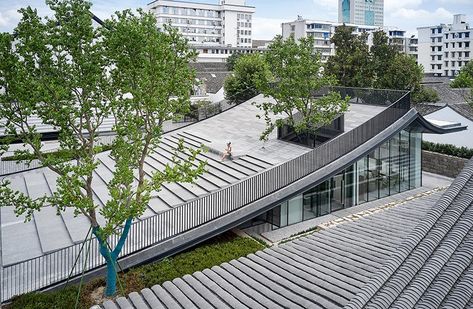 Slope House, Internal Courtyard, Roof Architecture, Building Roof, Ancient City, Roof Garden, Roof Design, Green Roof, Contemporary Landscape