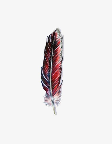 Cardinal Feather Tattoo, Cardinal Feather, Cardinal Tattoos, Patriotic Tattoos, Bird Nests, Aries Tattoo, Babies Room, Watercolor Feather, Infinity Tattoos