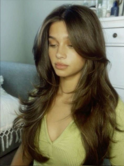 Brunette Straight Layered Hair, Straight Hair Blowout Long Hairstyles, Normal Haircut Women, Long Dark Brown Hair Layers, Long Haircut Balayage, Long Brown Hair Long Layers, Long Haired Layered Haircuts, Latina Haircuts Long, 90s Layered Hair Unstyled