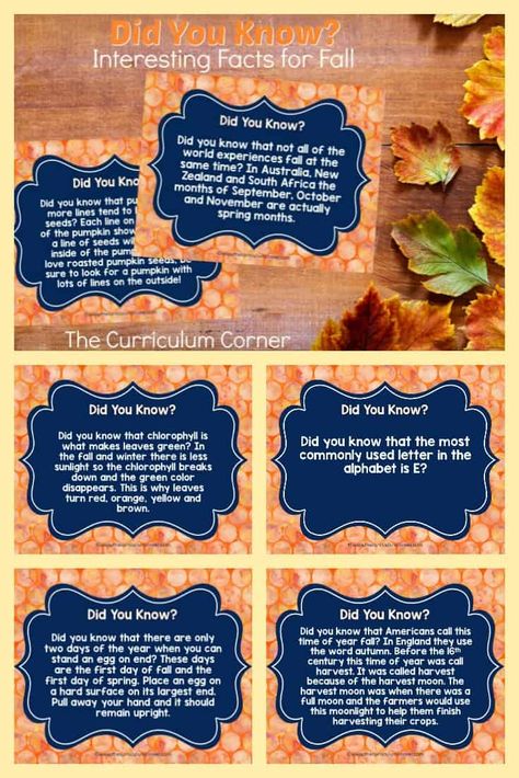 Use our Did You Know? facts for fall as an engaging morning entry display. This set of 8 free facts for fall is designed to be shared on your smart board. 4h Presentation Ideas, Circles Curriculum, Trivia For Seniors, Fall Facts, Pumpkin Show, Printable Circles, Social Studies Unit, Spring Months, Autumn And Halloween