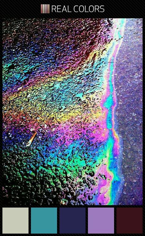 rainbow iridescent oil spill color palette colorful Foto Macro, New Retro Wave, Oil Spill, Rainbow Aesthetic, Oil Slick, Foto Art, Color Inspo, Color Textures, Textures Patterns