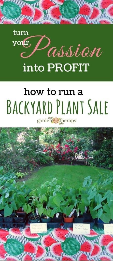 Garden Therapy, Backyard Garden Layout, Landscaping Business, Backyard Plants, Growing Business, Greenhouse Plans, Green Tips, Market Garden, Style Rock