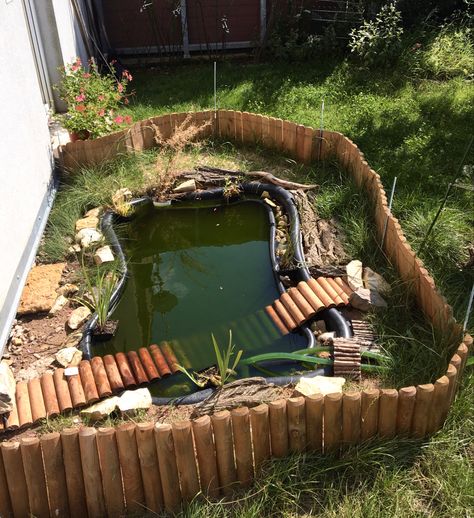 #turtle #turtlepond #outdoor #pond #water #fishpond #garden #lawn Turtle Outdoor Habitat Ideas, Turtle Backyard Habitat, Outdoor Pond For Turtles, Turtle Cage Outdoor, Outside Turtle Pond, Outside Turtle Enclosure, Outdoor Water Turtle Habitat, Turtle House Ideas, Turtle Homes Ideas Outdoor