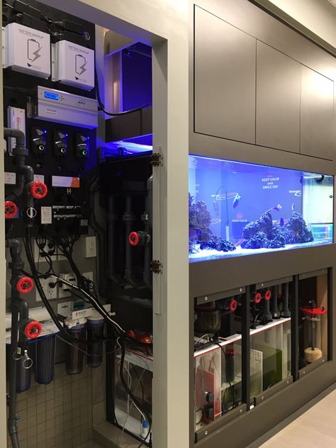 Aquarium Office Design, Peninsula Aquarium, 29 Gallon Aquarium, 20 Gallon Long Aquarium, Peninsula Reef Tank, Saltwater Aquarium Setup, Aquarium Diy, Aquarium Sump, Aquarium Chiller